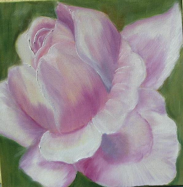 rosa