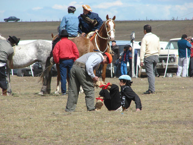 Poniendo espuelas. 