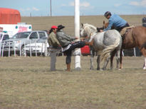 Ajustando la cincha