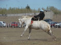 Jineteando 1