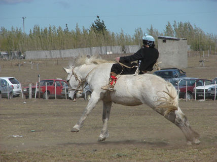 Jineteando 1