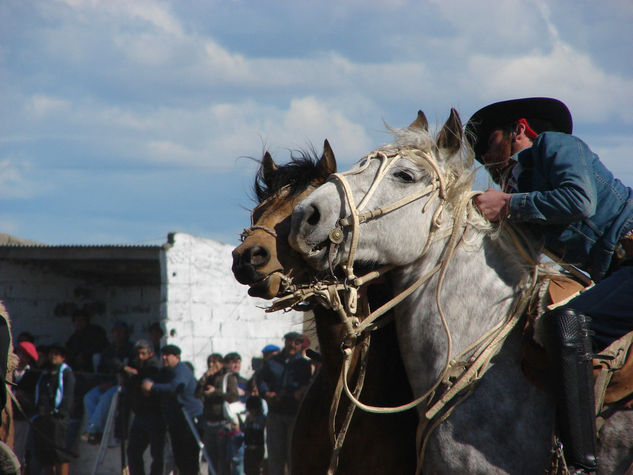 El apadrinador 