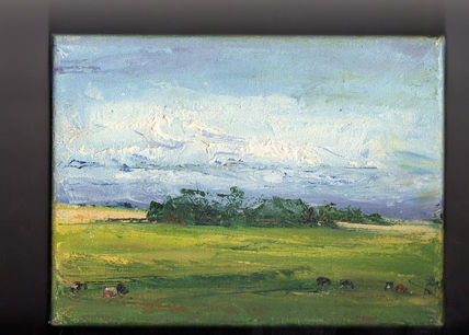 "campo..."