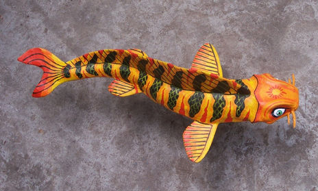 Koi atigrado