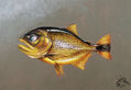 Salminus