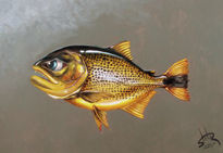 Salminus