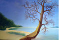 LA PLAYA