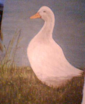 pato laguna Acrylic Canvas Animals