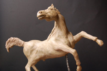 Caballo libre