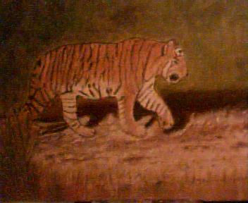 tigre Acrylic Canvas Animals