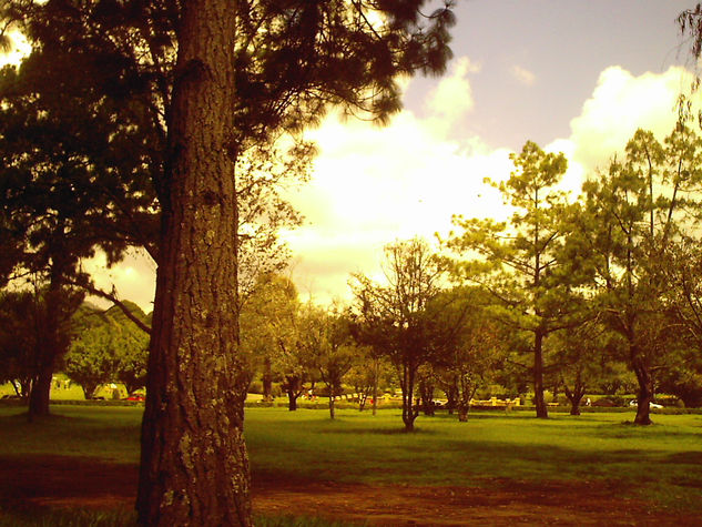 pradera guatemalteca 