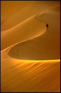 Sahara