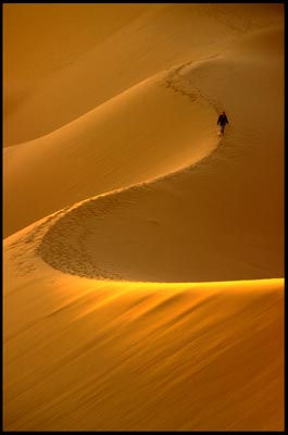 Sahara 