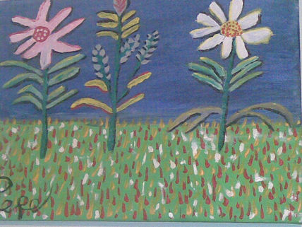 Campo de flores