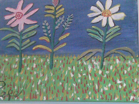 Campo de flores