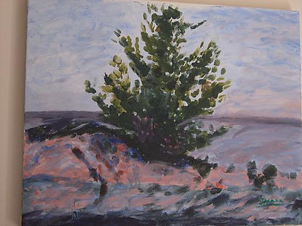 Arbol