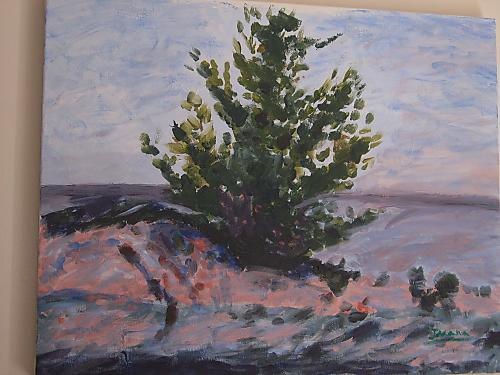 ARBOL Acrylic Canvas Landscaping