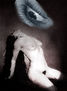 man ray ll