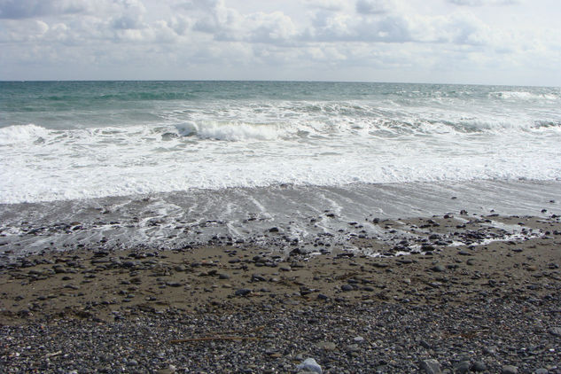 Mares 