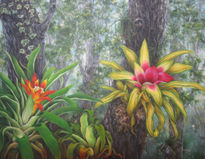 Bosque de bromelia