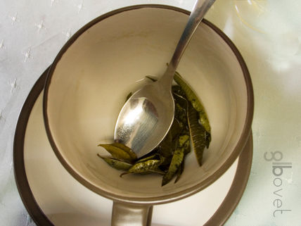 Un Mate  en Valparaiso