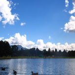 fotografia thumbnail 2