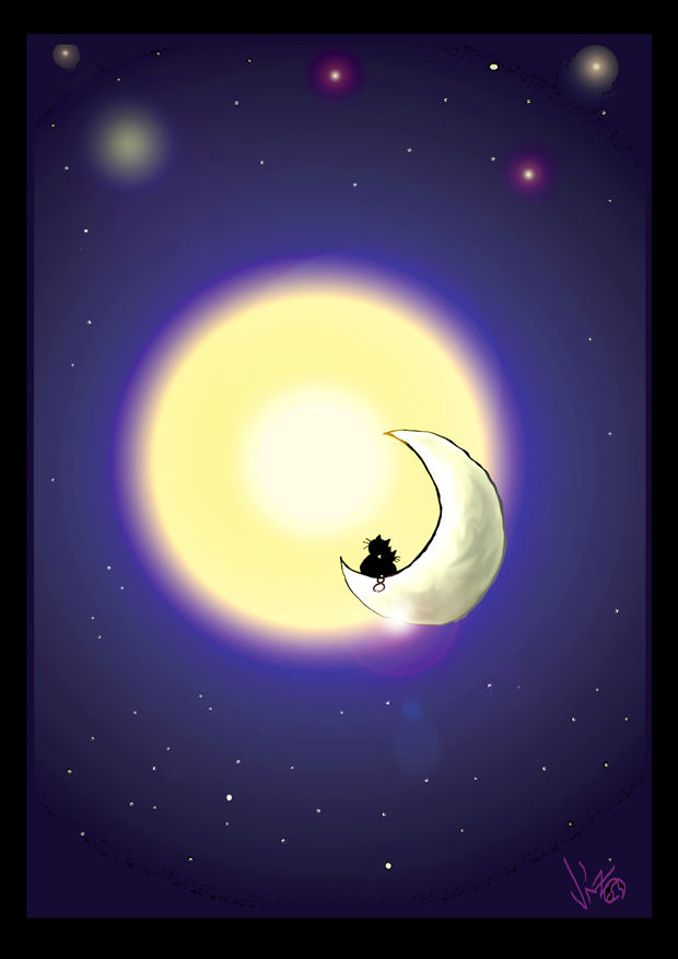 gatos en la luna