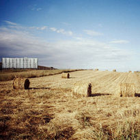 Paisaje castellano