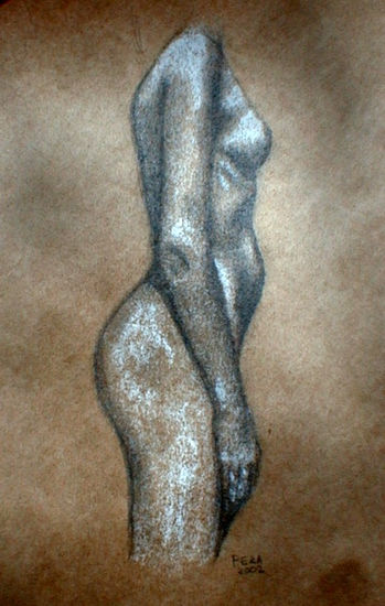 Desnudo de lado 1 Charcoal