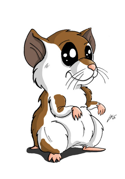 Hamster