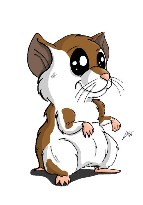 Hamster