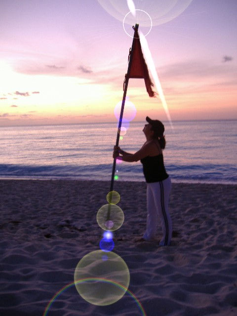 simple bandera en la playa