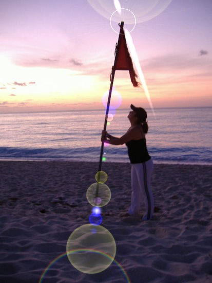 simple bandera en la playa 