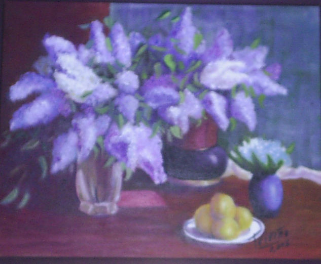 lilas 