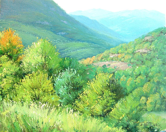 panoramica (valle de aran) Oil Canvas Landscaping