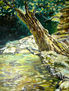 CHARCO DE LOS ENEMIGOS