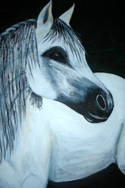 Caballo blanco