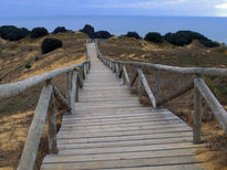 Puente al mar