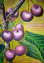 CIRUELAS