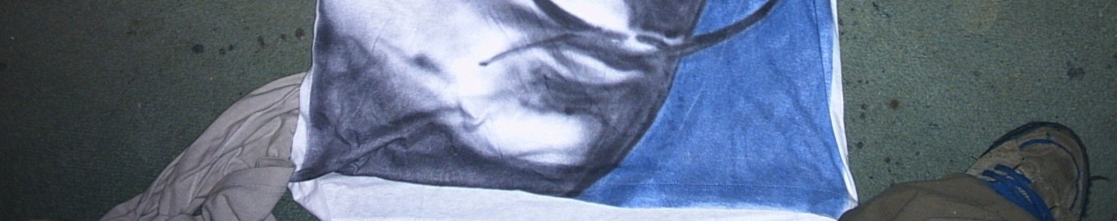 Imagen de portada