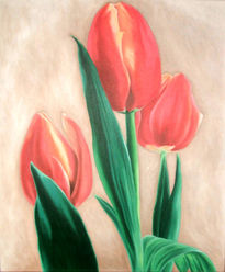 Tulipanes