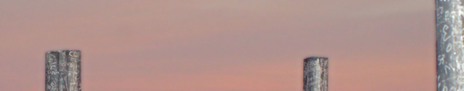 Imagen de portada