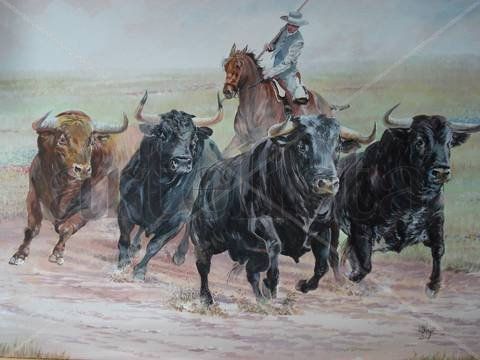 Toros en el campo