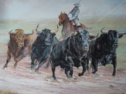 Toros en el campo Acrylic Canvas Animals