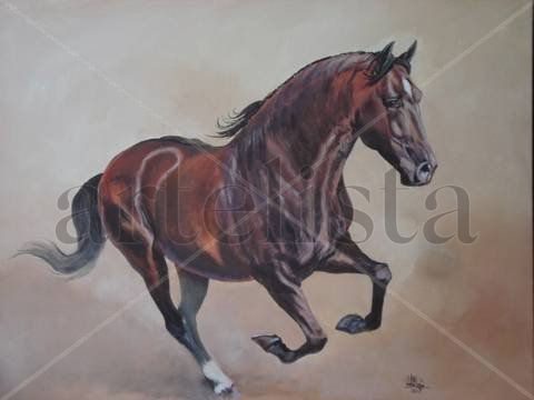 Caballo español