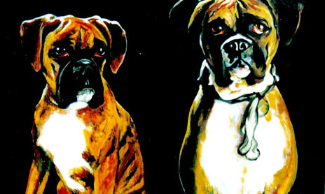 Perros
