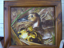 patitos Silvestres