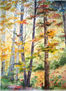 Otoño 1