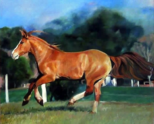 Cavalo Castanho