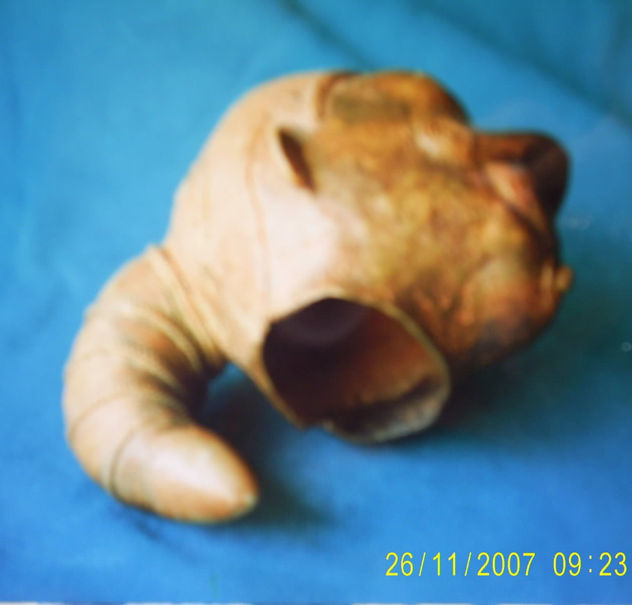 Cabeza Tumbaga